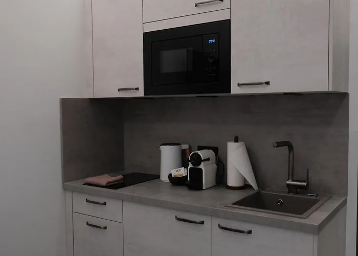 アパートホテル Billhills Boutique & Design ニュルンベルク